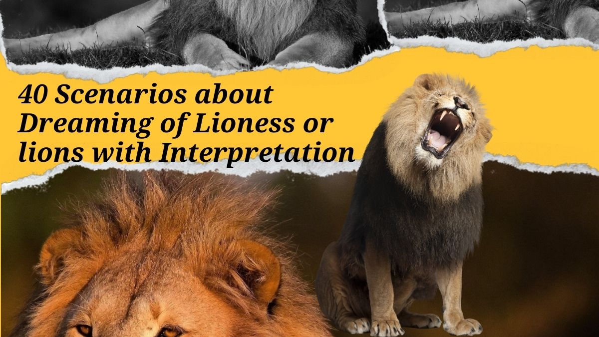 40 Scenarios about Dreaming of Lioness or lions with Interpretation