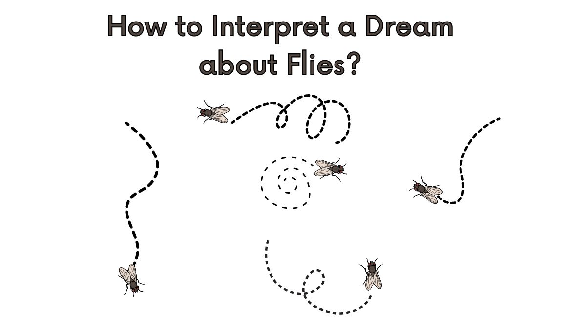How to Interpret a Dream about Flies