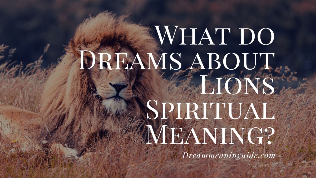 What do Dreams about Lions Spiritual Meaning
