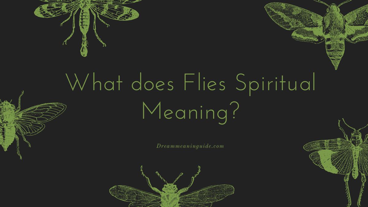 What does Flies Spiritual Meaning