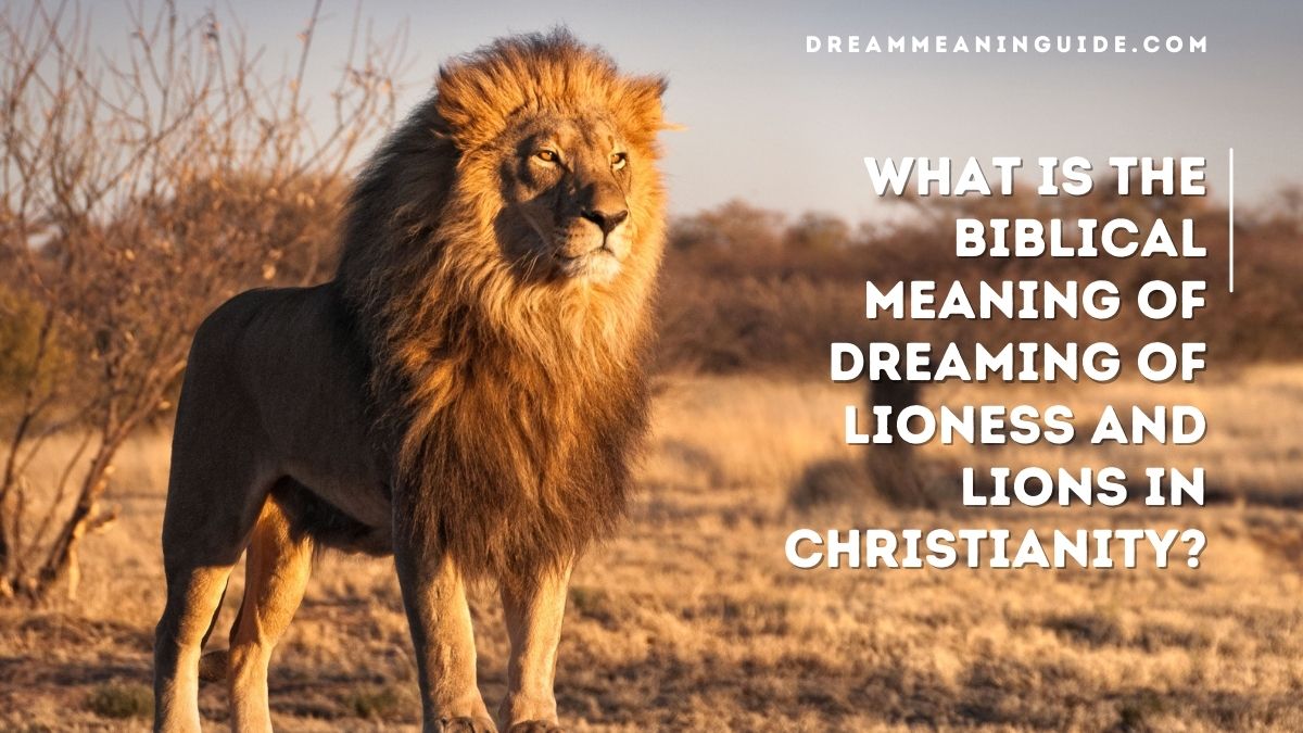 What is the Biblical Meaning of Dreaming of Lioness and Lions in Christianity