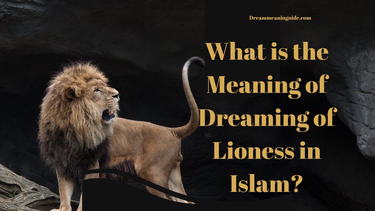 What is the Meaning of Dreaming of Lioness in Islam