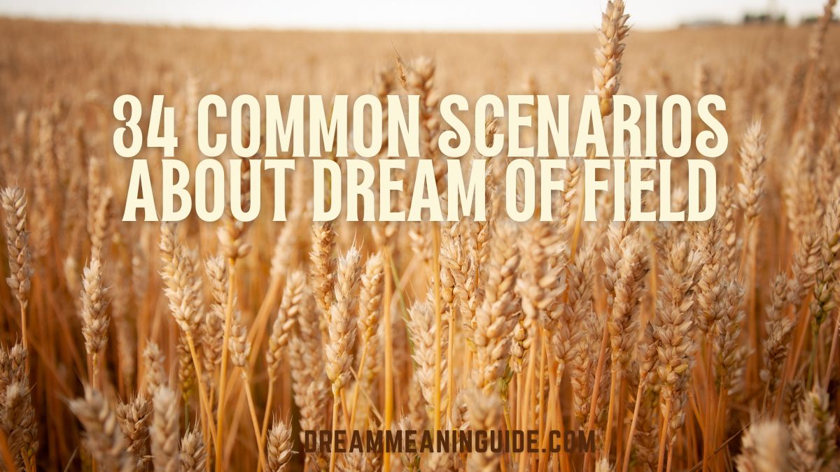 34 Common Scenarios about Dream of Field