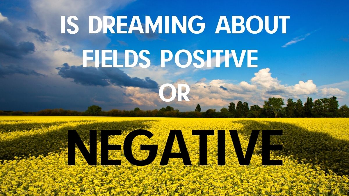 Is Dreaming About Fields Negative or Positive