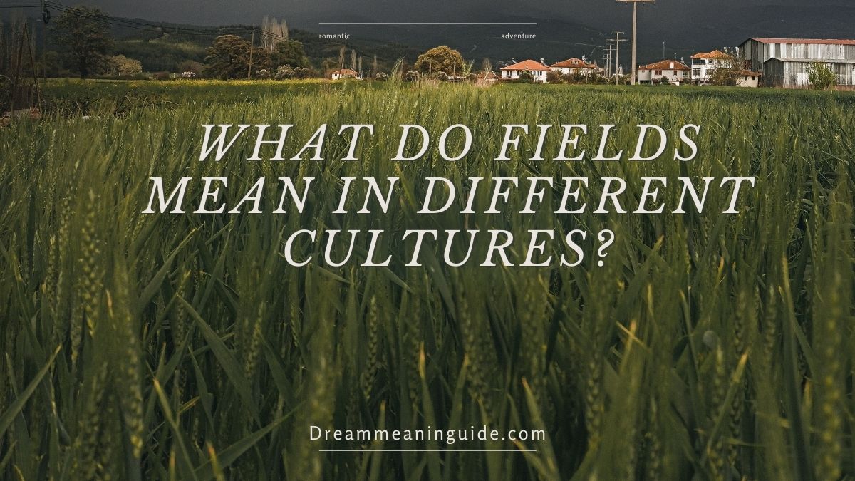 What Do Fields Mean in Different Cultures