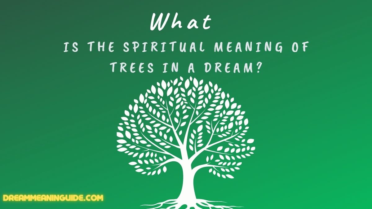 What is the Spiritual Meaning of Trees in a Dream
