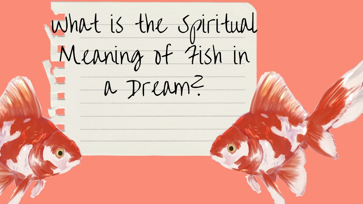 What is the Spiritual Meaning of Fish in a Dream
