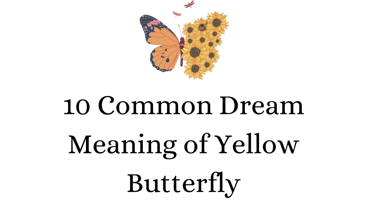 10 Common Dream Meaning of Yellow Butterfly