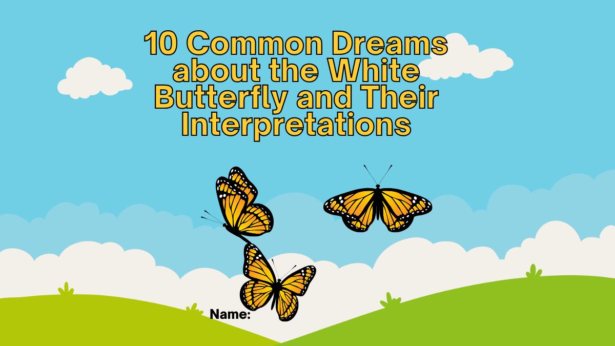 10 Common Dreams about the White Butterfly and Their Interpretations