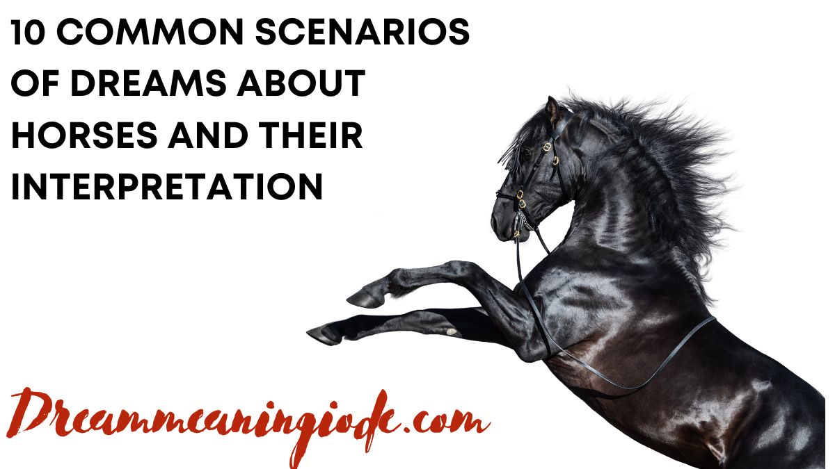 10 Common Scenarios of Dreams about Horses and Their Interpretation