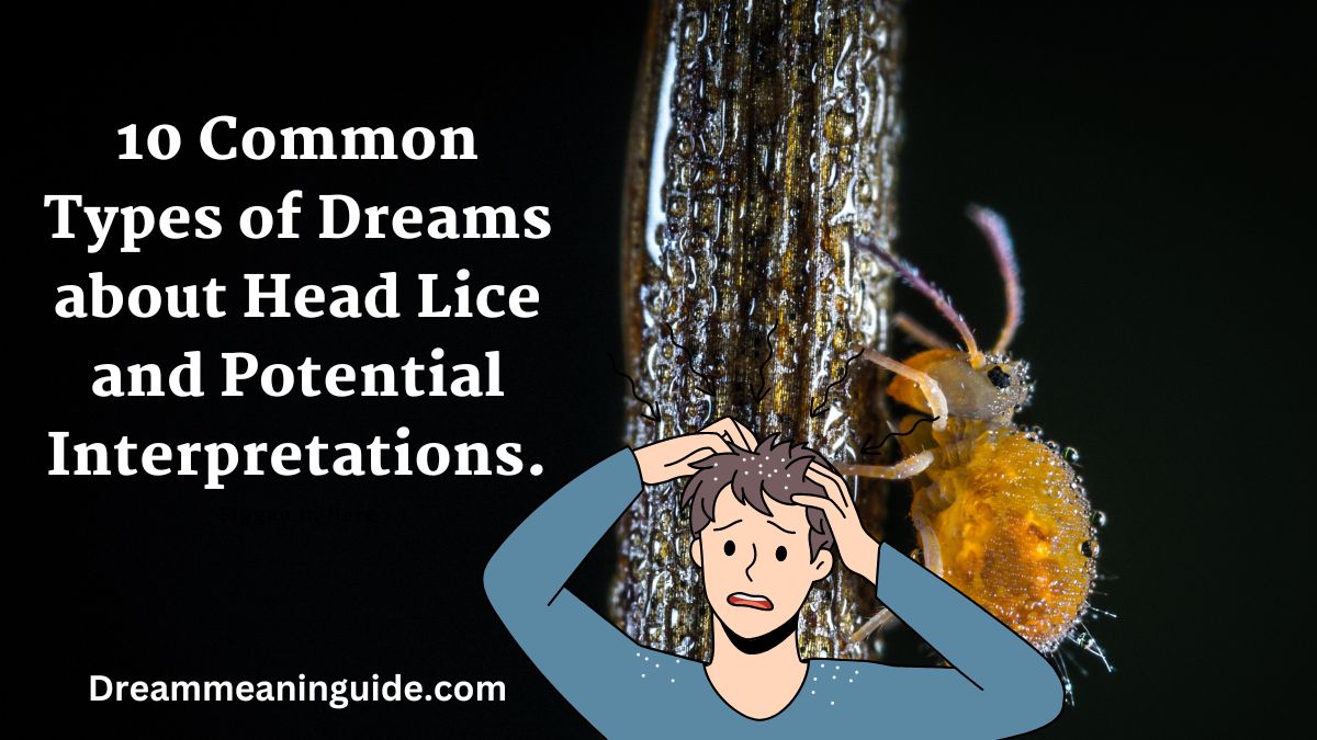 10 Common Types of Dreams about Head Lice and Potential Interpretations.