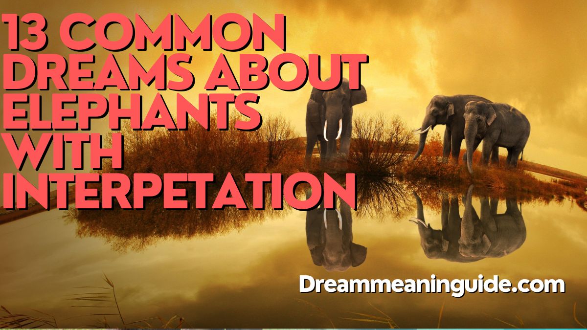 13 Common Dreams about Elephants with interpetation