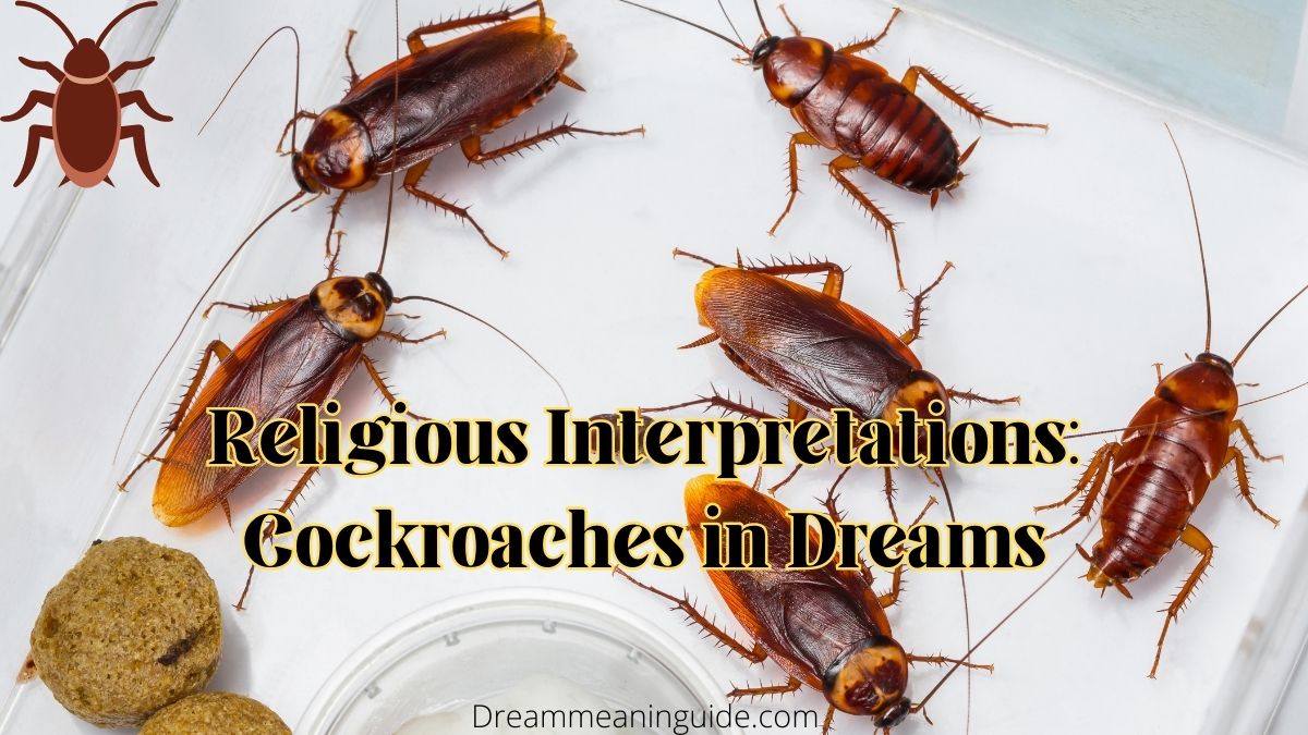 Religious Interpretations Cockroaches in Dreams