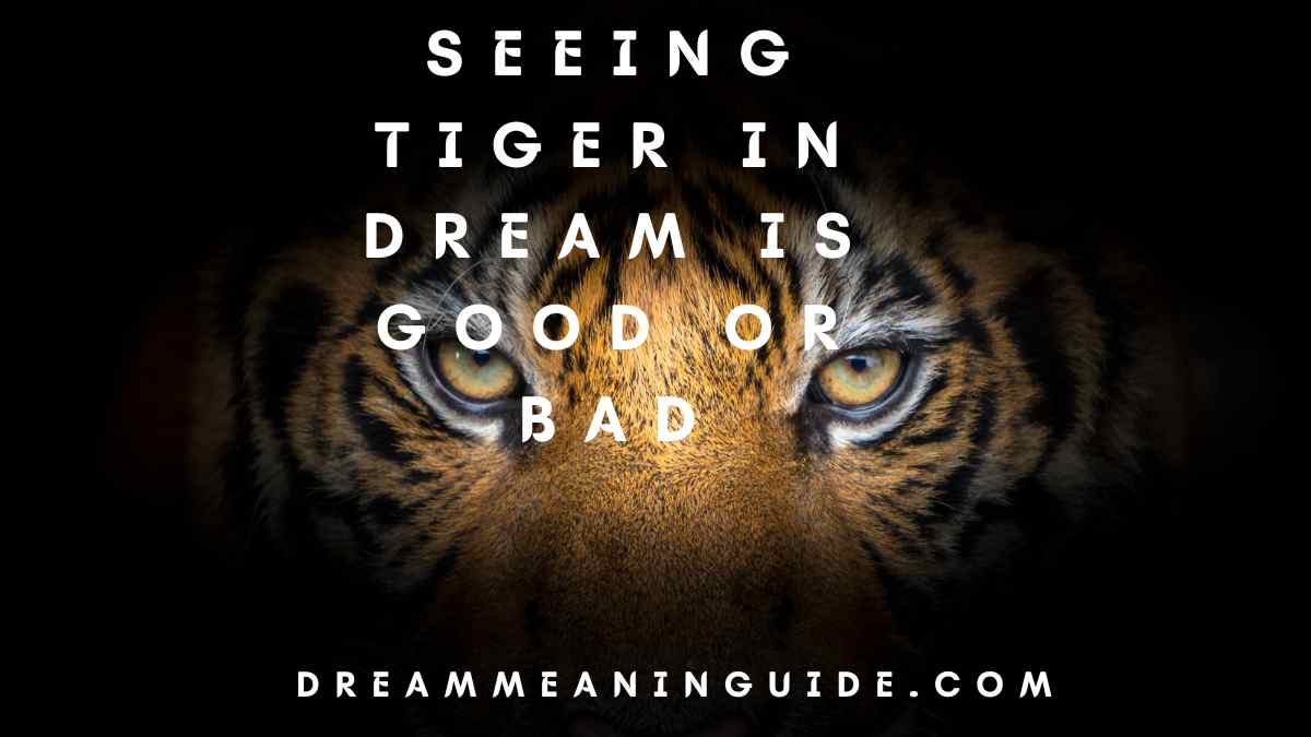 Seeing Tiger in Dream Is Good or Bad