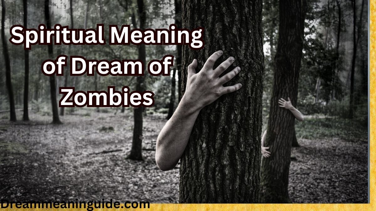 Spiritual Meaning of Dream of Zombies