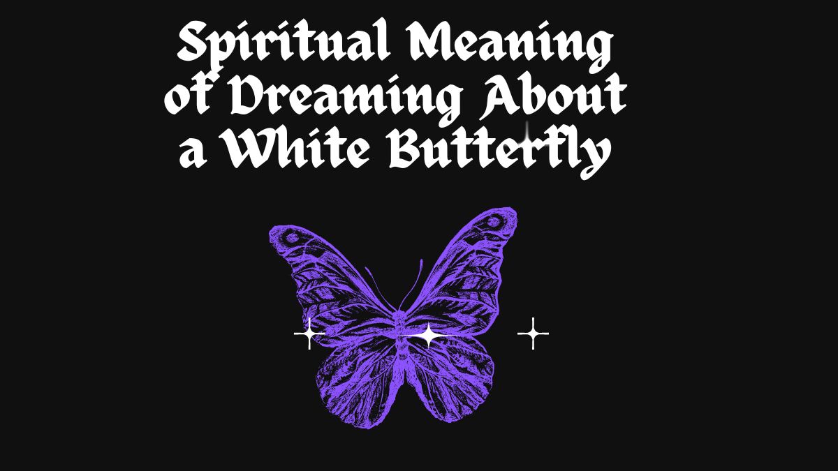 Spiritual Meaning of Dreaming About a White Butterfly