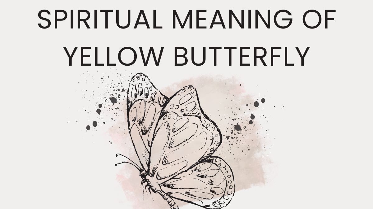 Spiritual Meaning of Yellow Butterfly
