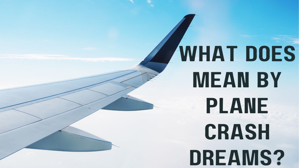 What does mean by Plane Crash Dreams