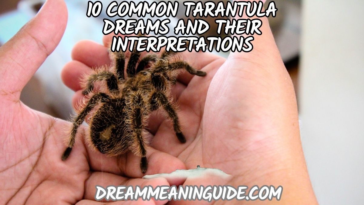 10 Common Tarantula Dreams and Their Interpretations