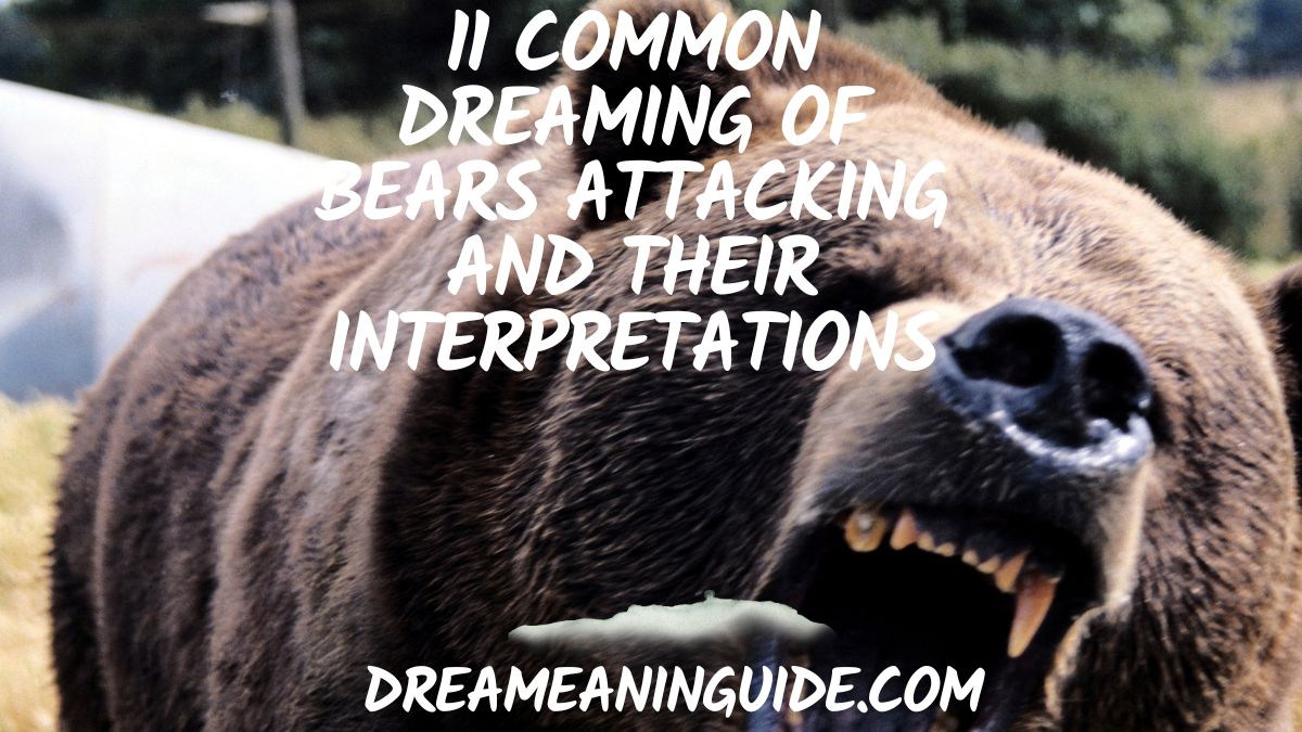 11 Common Dreaming of Bears Attacking and their interpretations