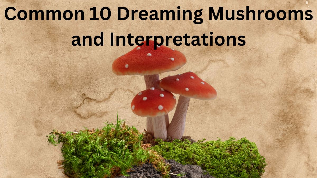 Common 10 Dreaming Mushrooms and Interpretations