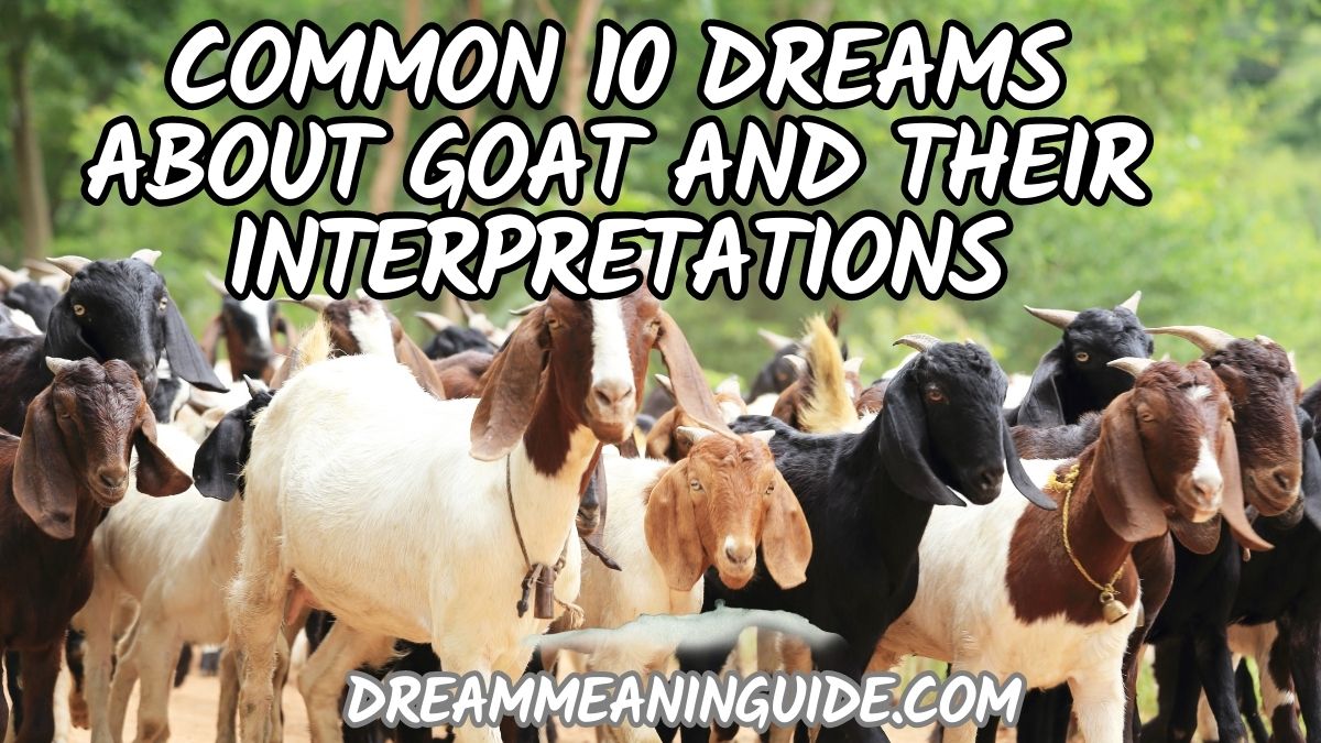 Common 10 Dreams about Goat and Their Interpretations