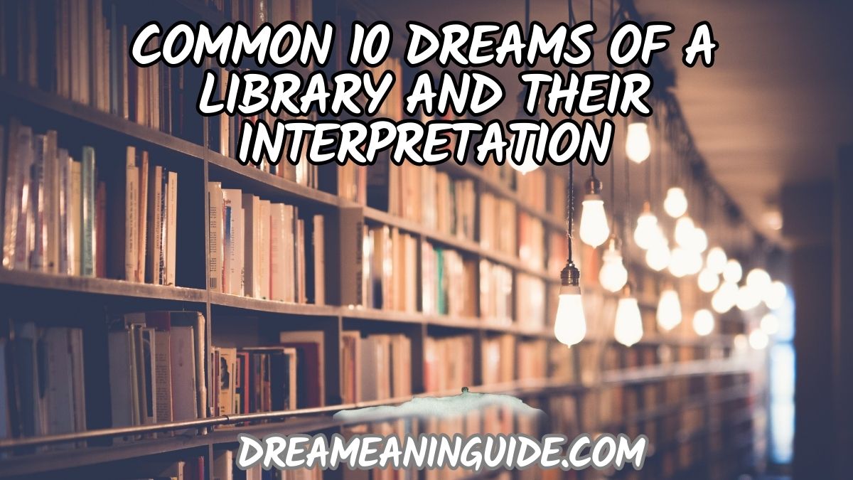 Common 10 Dreams of a Library and their interpretation