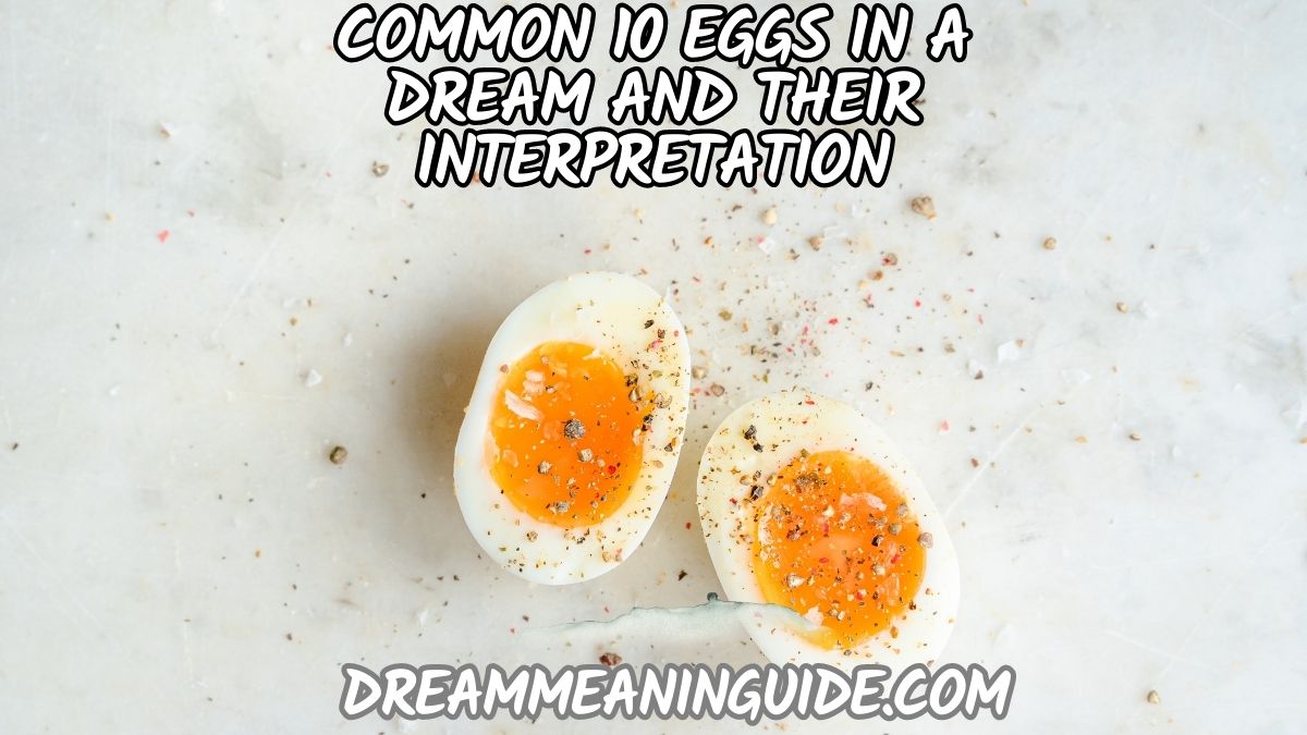 Common 10 Eggs in a Dream and their Interpretation