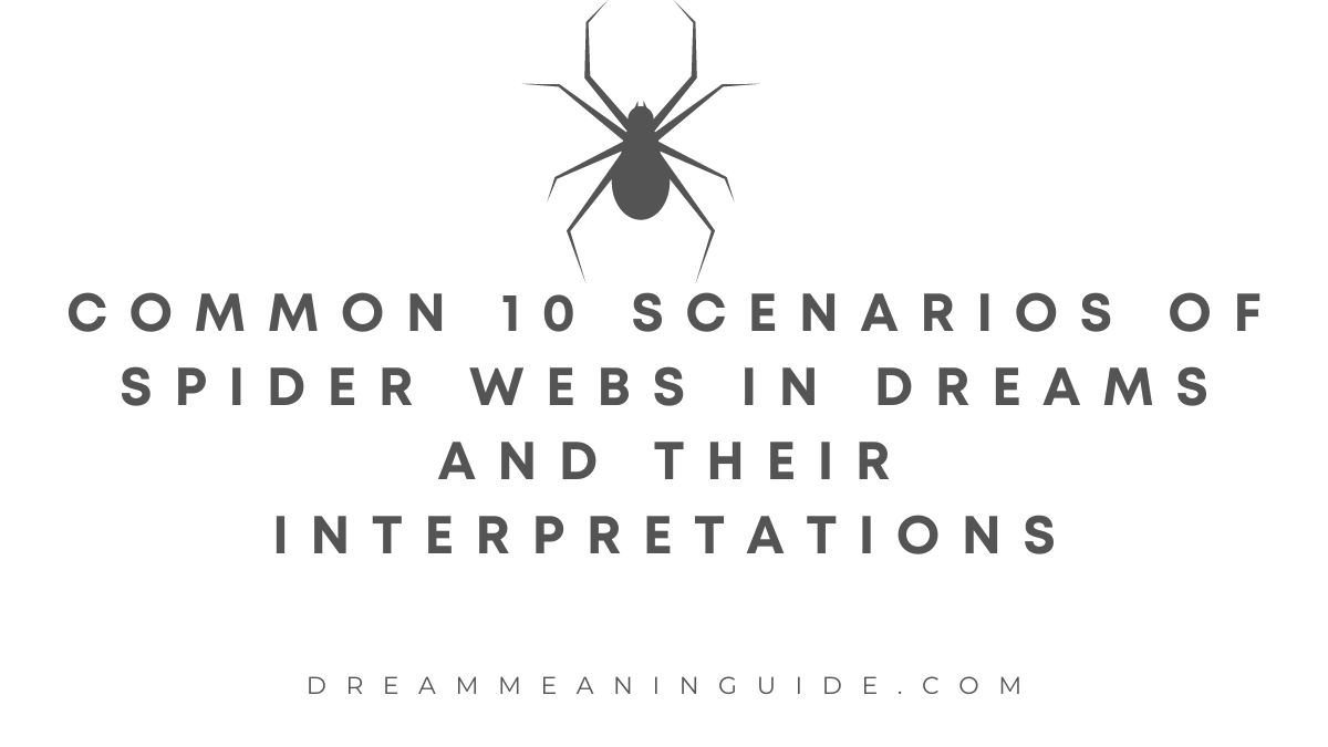 Common 10 Scenarios of Spider Webs in Dreams and Their Interpretations