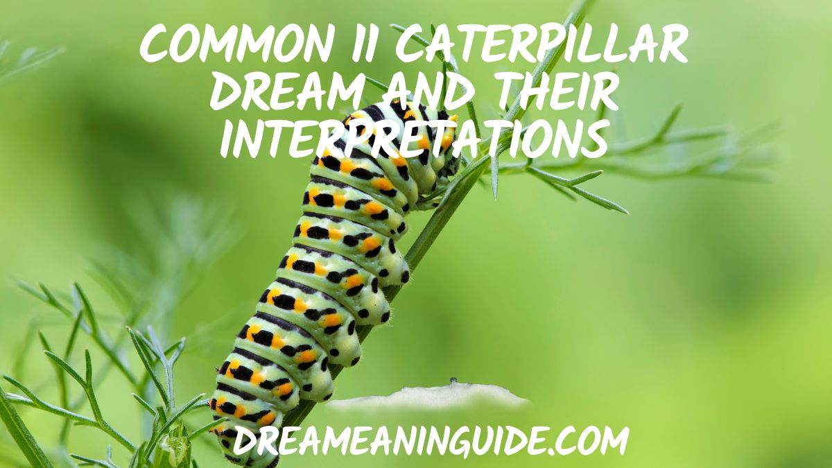 Common 11 Caterpillar Dream and their interpretations