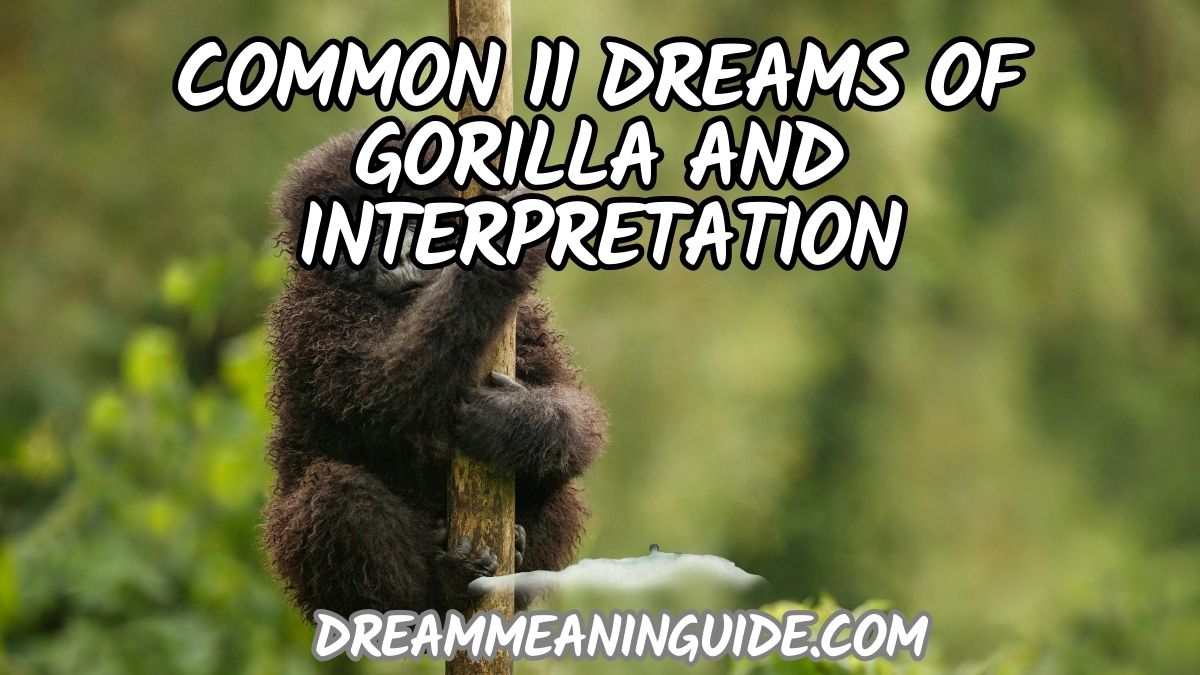 Common 11 dreams of Gorilla and interpretation