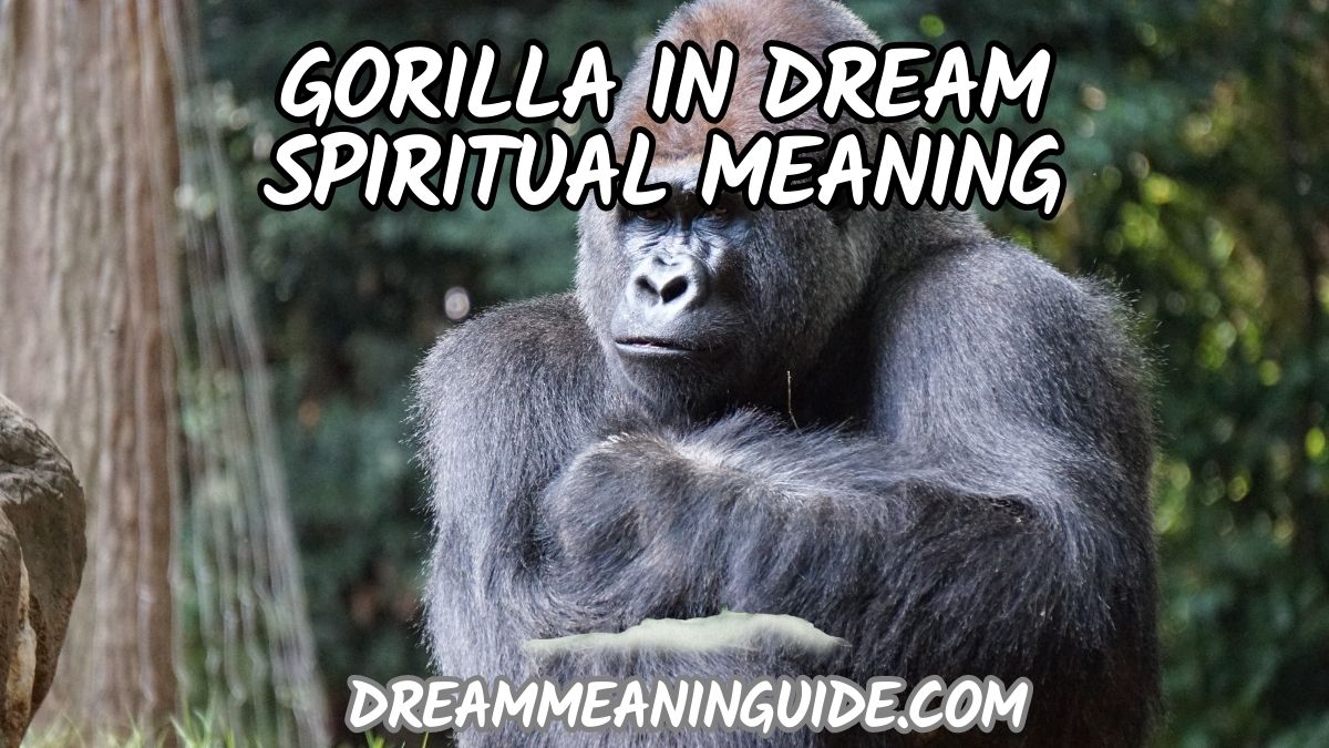 Gorilla in Dream Spiritual Meaning