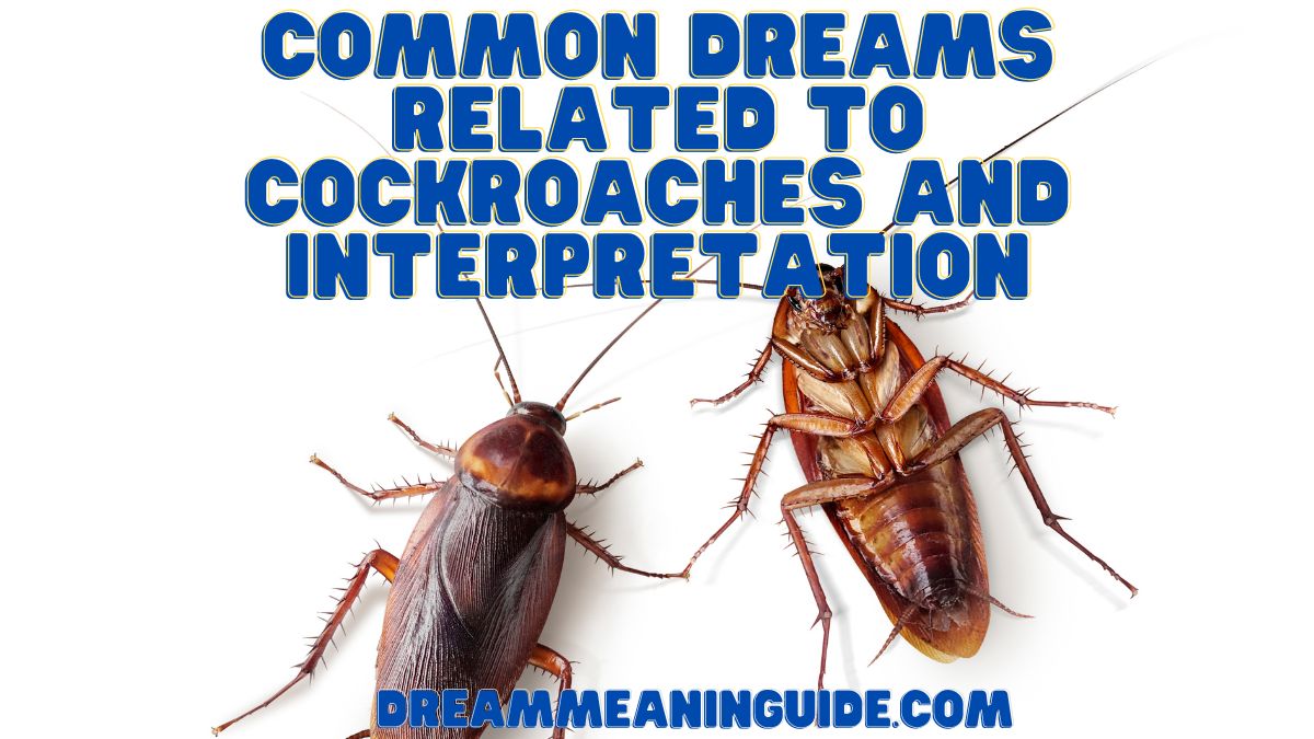 12 Common Dreams Related to Cockroaches and Interpretation