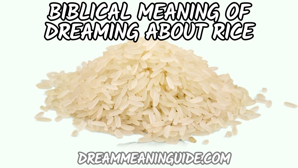 Biblical Meaning of Dreaming About Rice