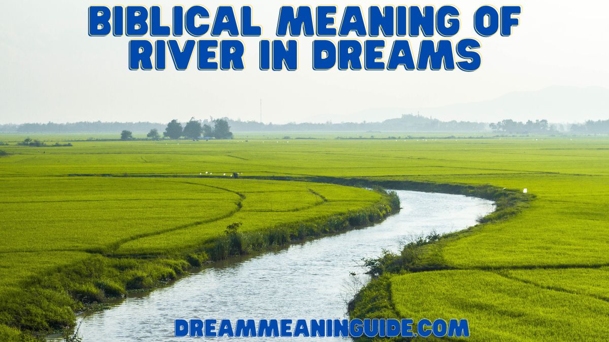 Biblical Meaning of River in Dreams