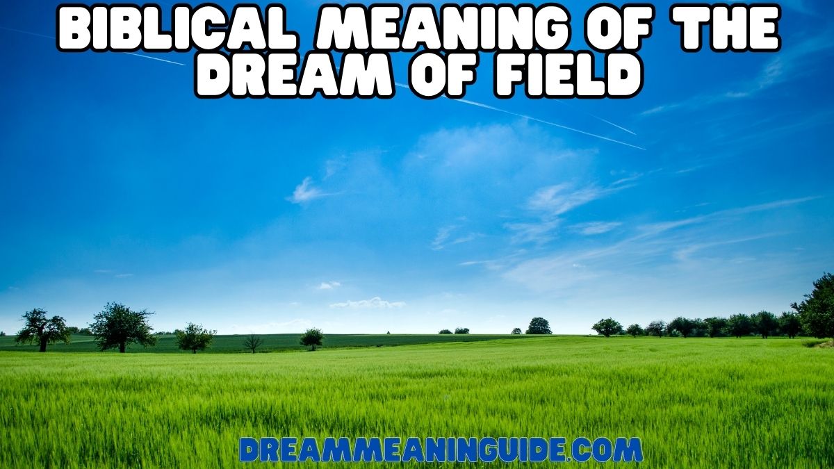 Biblical Meaning of the Dream of Field