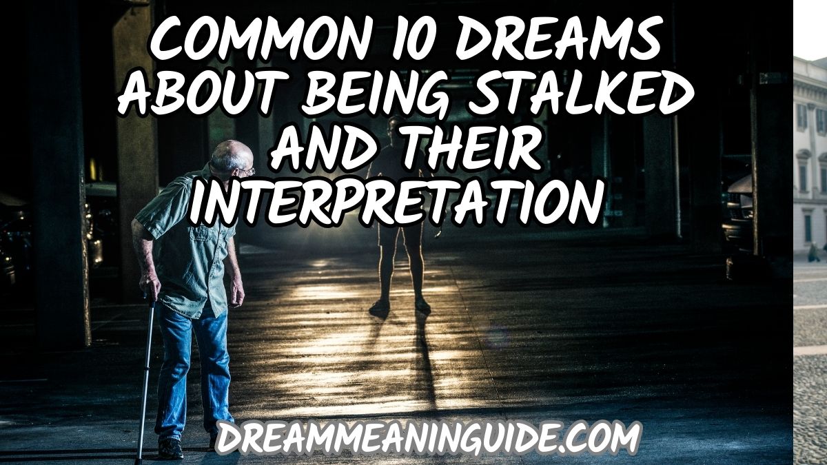 Common 10 Dreams about Being Stalked and Their Interpretation 