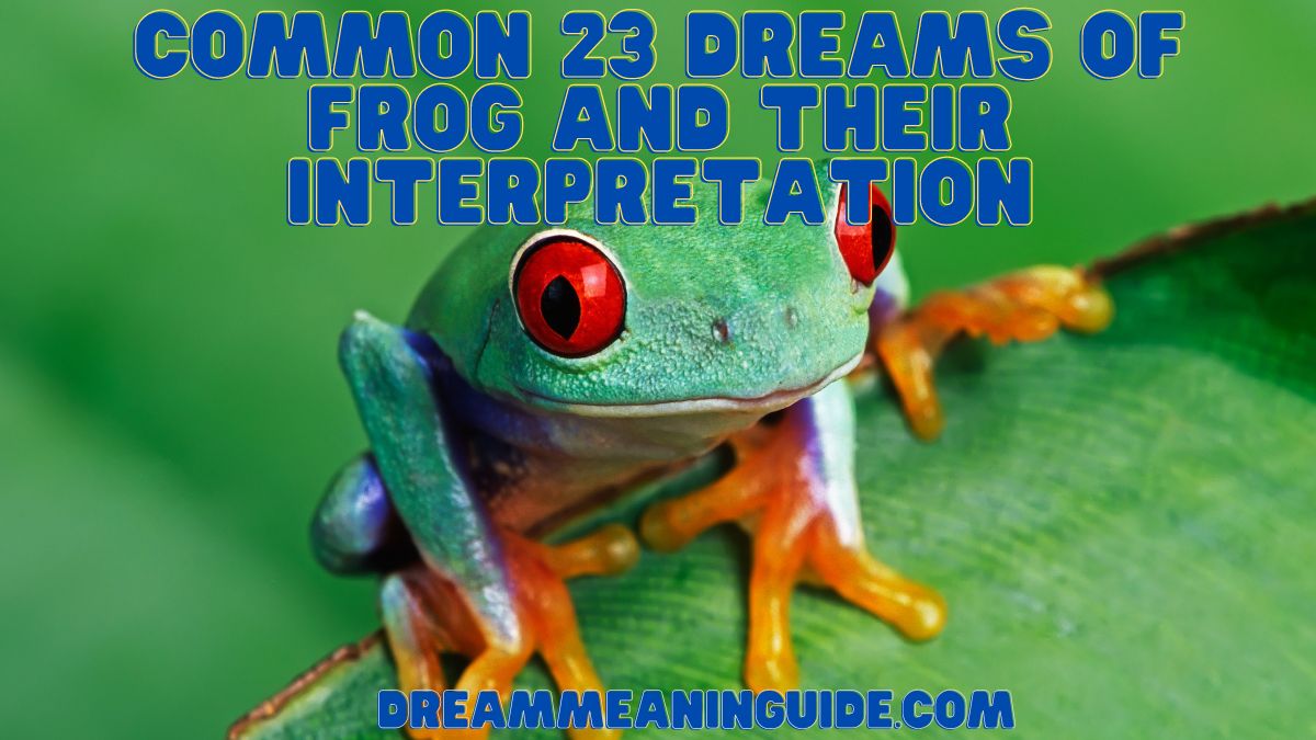 Common 23 Dreams of Frog and Their Interpretation