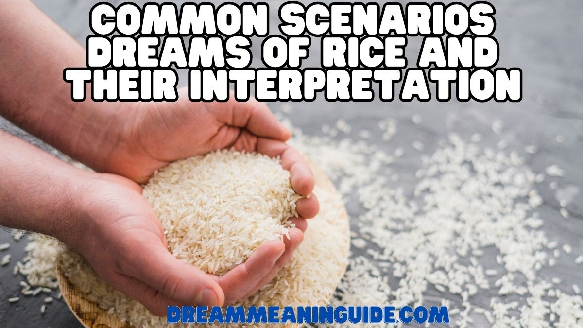 Common Scenarios Dreams of Rice and their Interpretation