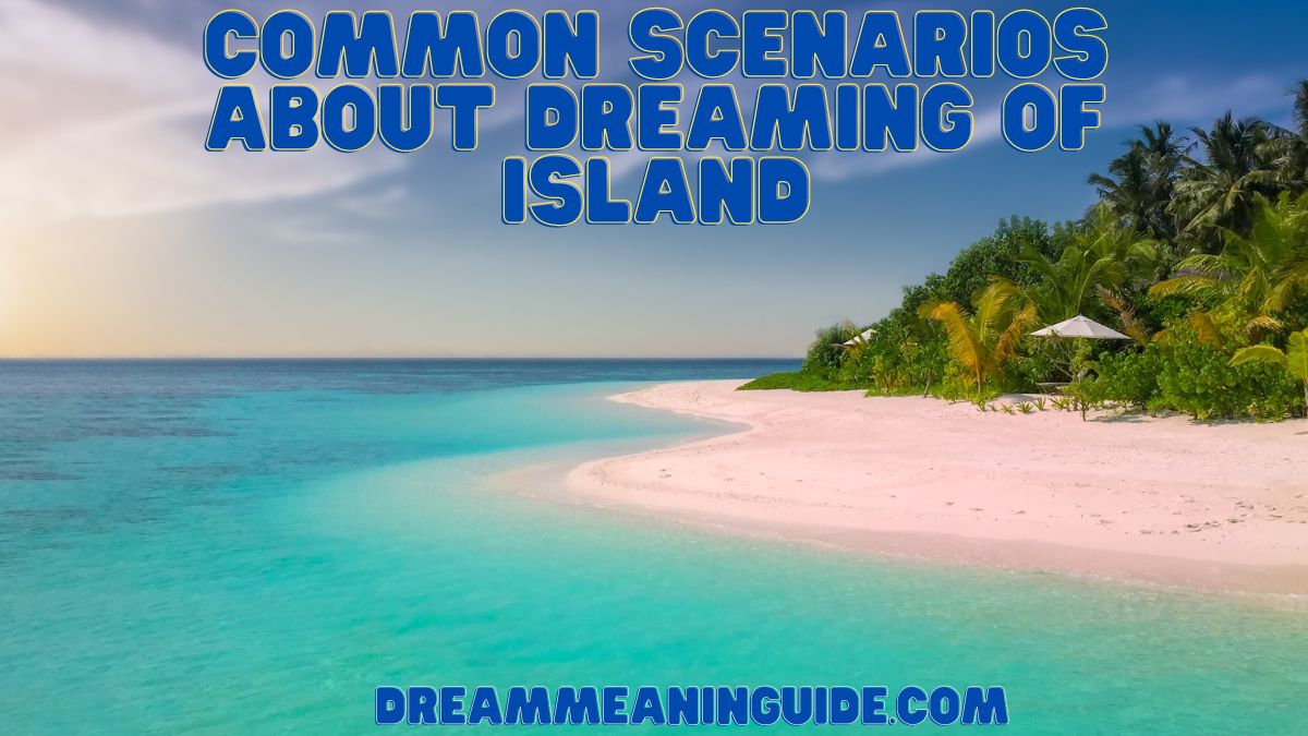 Common Scenarios about Dreaming of Island