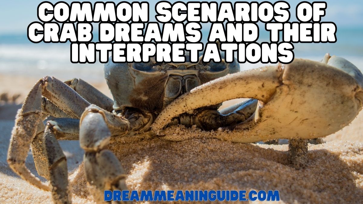 Common Scenarios of Crab Dreams and Their Interpretations