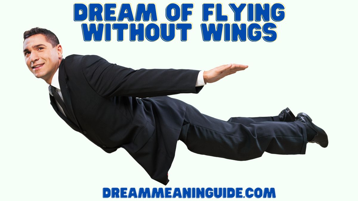 Dream Of Flying Without Wings