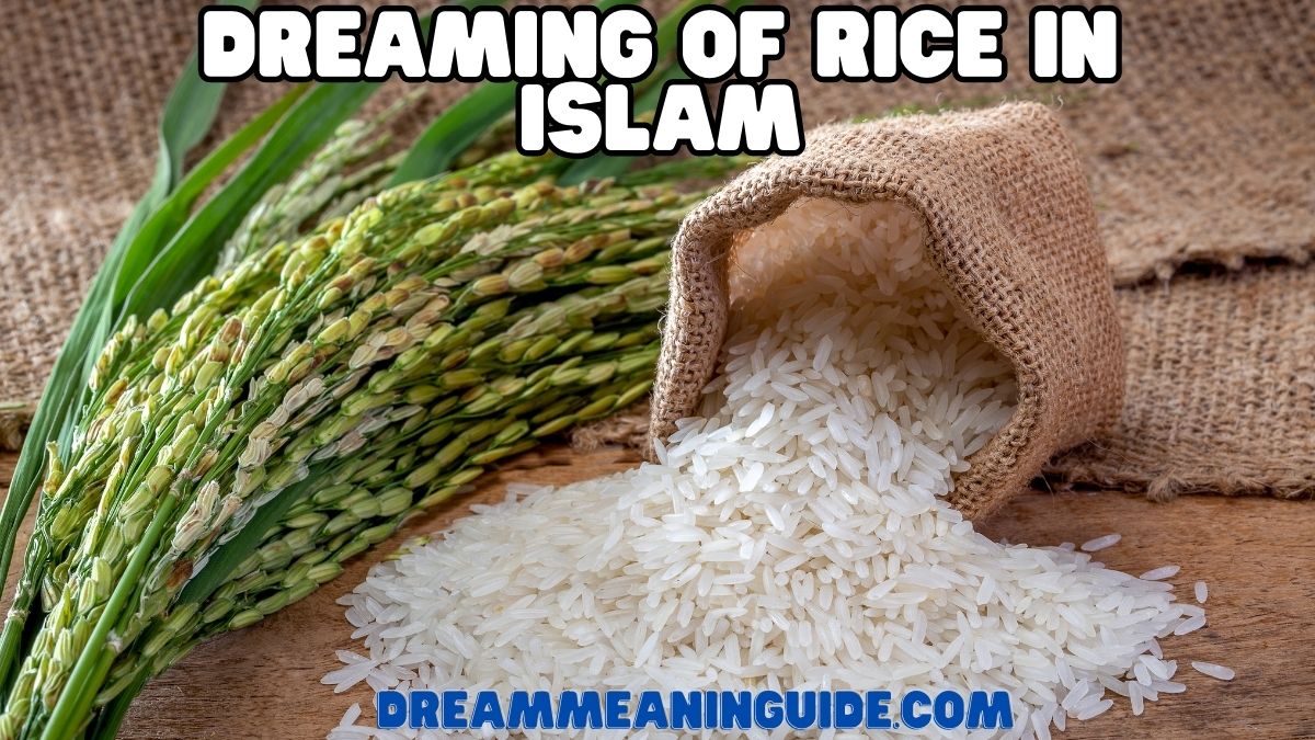 Dreaming of Rice in Islam