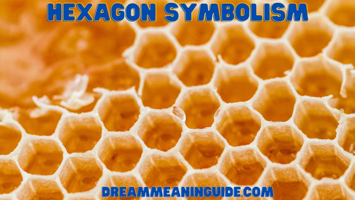 Hexagon Symbolism