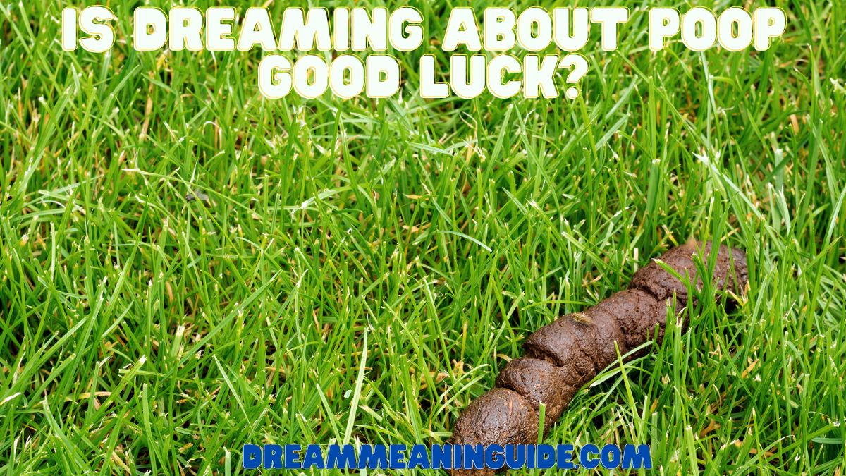 Is Dreaming about Poop Good luck