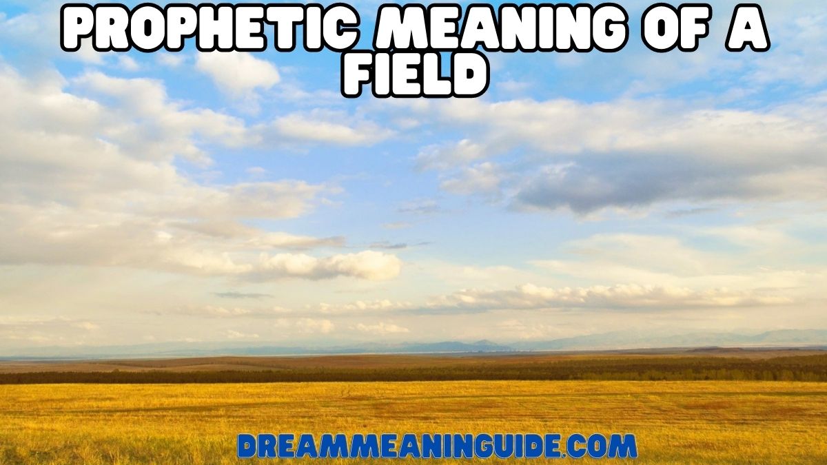 Prophetic Meaning of a Field