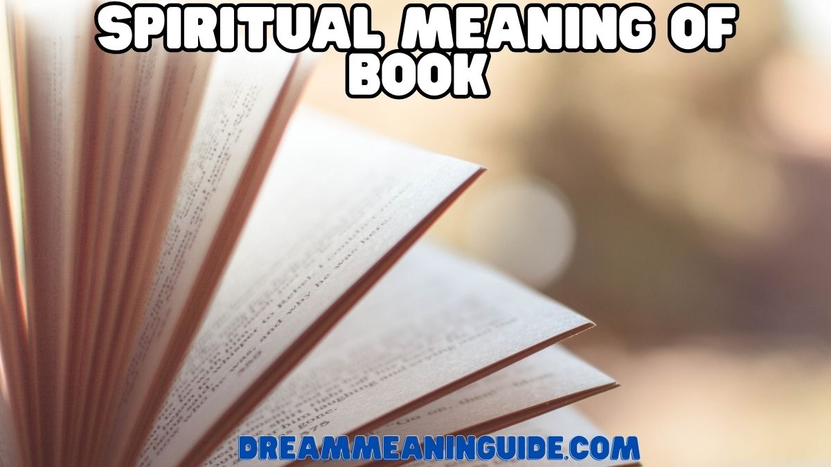 Spiritual Meaning of Book