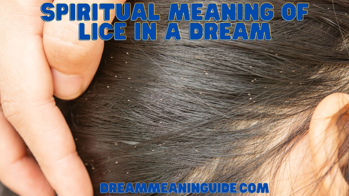 Spiritual Meaning of Lice in a Dream