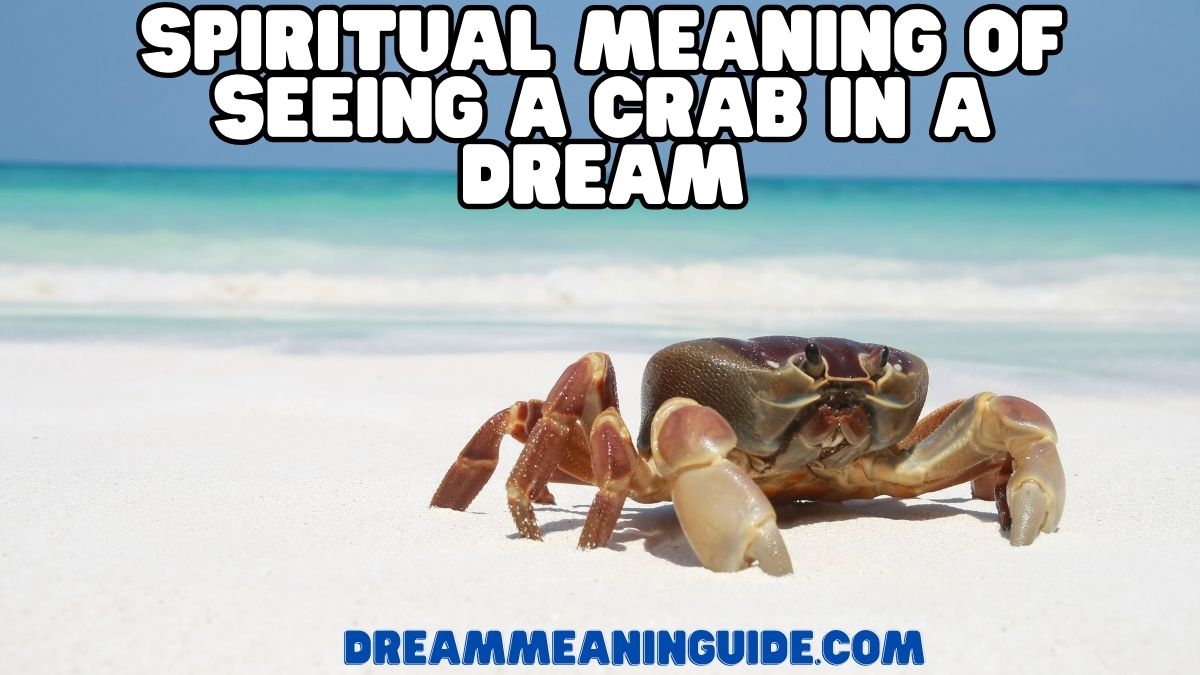 Spiritual Meaning of Seeing a Crab in a Dream