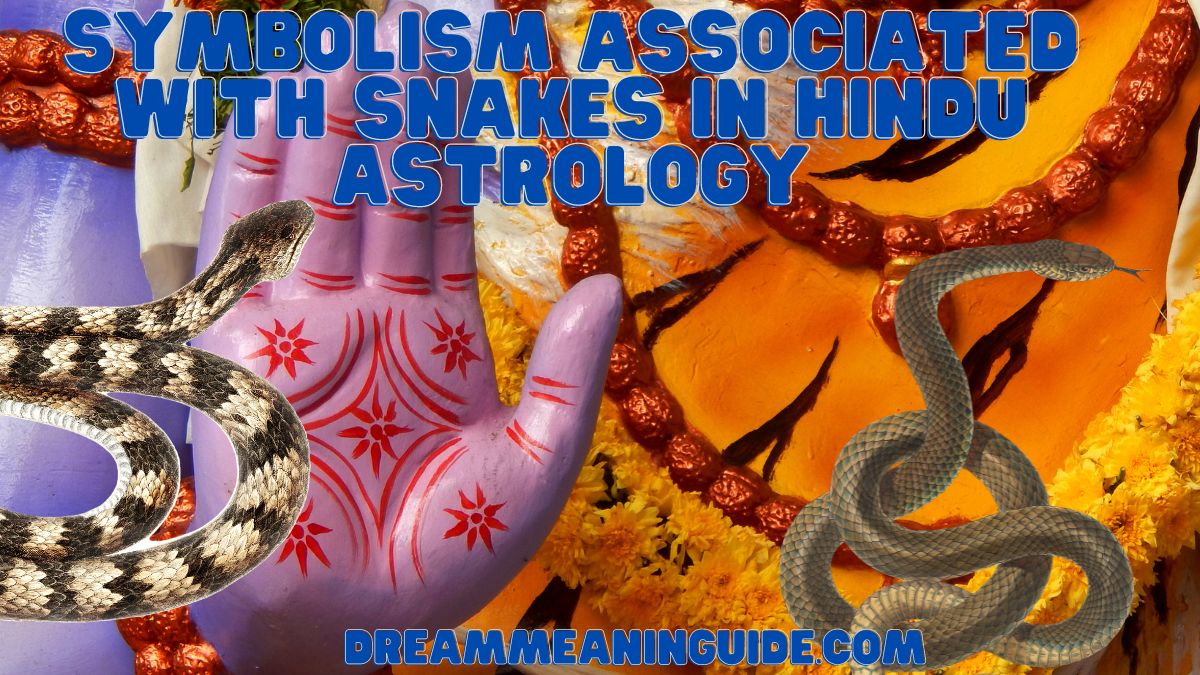 Symbolism associated with snakes in Hindu astrology